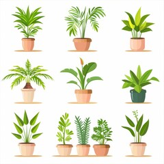 Fototapeta na wymiar Palm Houseplants Pot Plant Icon Set, Palm Plant Flat Design, Abstract Palm Symbol, Simple Pot Plant