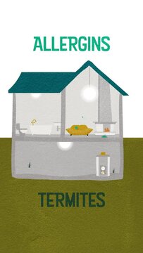 Home Inspection, Buying and Selling Real Estate  | Looping Animation | Vertical