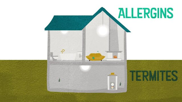Home Inspection, Buying and Selling Real Estate  | Looping Animation 
