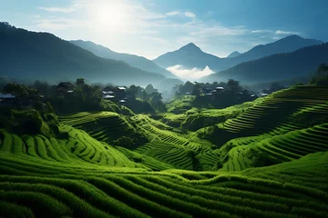 Poster Beautiful landscape of rice terrace at sunset in Sapa, Vietnam © Creative