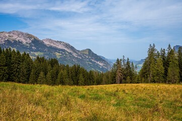 Landscape of the mountains, sky and forest in summer in Switzerland.