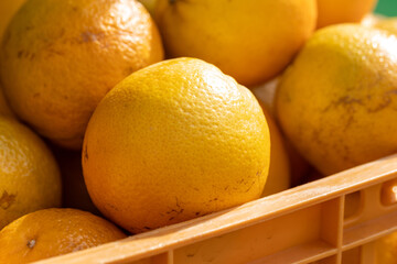 Fresh fruits oranges in a crate at the market