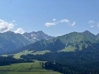Fototapeta premium landscape in the summer