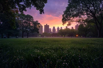 Foto op Canvas A tranquil park scene at dawn, where dew-kissed grass meets the vibrant hues of a waking city, framed by majestic trees. © Tahira