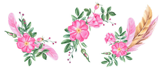 Watercolor floral compositions from dog rose flowers, leaves, buds and pink and beige feathers isolated on white background. Botanical hand drawn illustration.