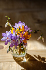 Bouquet of purple crocus in vase. Spring flowers in a vase.