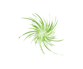 grass icon. Hand-drawn grassland isolated on the white background