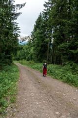 Frau wandert auf dem Siedigkopfweg in Gengenbach in Richtung Lothar Denkmal