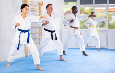Multinational athletes starting position and studying and repeating sequence of punches and painful...