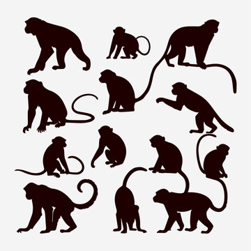 flat design monkey silhouette collection