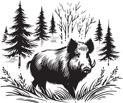 wild boar illustration vector black and white 