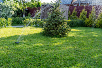 A sprinkler system is actively spraying water across a green lawn, ensuring thorough hydration