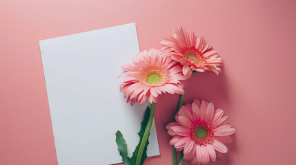 minimalism gerbera daisy bouqet flowers on a white paper for congratulations, copy space, letter.