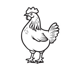 hen and rooster