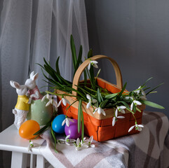 A still life arrangement of Easter eggs, spring flowers. Still life with snowdrops and ester eags.