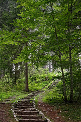 The Emperor's Staircase is a Habsburg vestige of the Great War near Fort Cherle. Folgaria, Alpe Cimbra, Trentino, Italy.