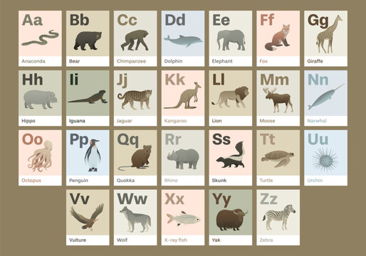 Animal alphabet cards design. Educational English learning. ABC cards with animals and letters. Elegant vector illustration set.