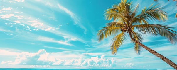 Fototapeta na wymiar Vibrant image capturing a single, lush coconut palm tree against a clear blue sky with fluffy white clouds on a sunny day