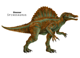Spinosaurus illustration. Dinosaur with crest on back. Green brown dino