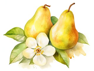 Watercolor Pear Isolated, Aquarelle Ripe Fruit and Flowers, Creative Watercolor Pears on White