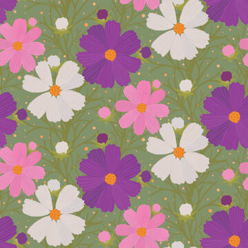 Cosmos flowers in pink, purple and white. Seamless floral pattern for spring, summer