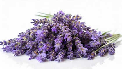 an isolated random pile of lavender flowers