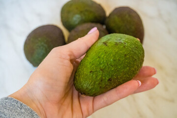 Fresh green avocado, fruit background wallpaper. Avocado in a woman's hand