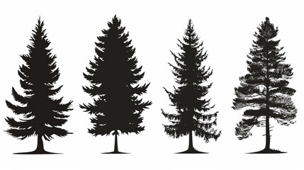 Pine tree silhouettes. Evergreen forest firs and spruces black shapes, wild nature trees templates. Vector illustration woodland trees set on white background - obrazy, fototapety, plakaty