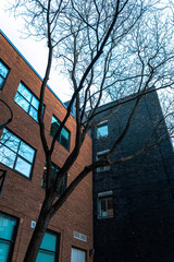 old building with sky