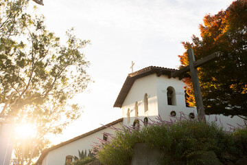 Purple flowers with historic mission background in downtown San Luis Obispo, California, USA.