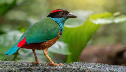 Obraz premium A bird in a wild telephoto, birdwatching, AI-generated.