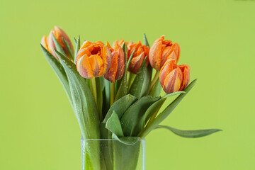 Beautiful bouquet of orange tulip flowers