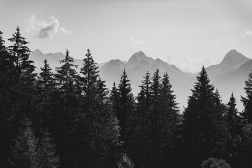 Monochrome image of forest silhouette against mountain range