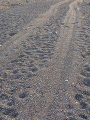Rut in the sand. Tracks from car wheels on the beach. Sand and stones.