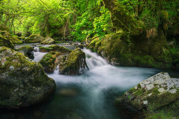 Naklejka na ściany i meble Small river goes around rocks and surrounds trees in spring