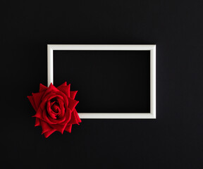 Red rose on black background with white frame copy space. Minimal concept and simplicity. Trendy spring and summer idea. Flower aesthetic background. Nature flat lay.