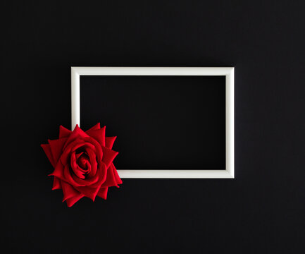 Red rose on black background with white frame copy space. Minimal concept and simplicity. Trendy spring and summer idea. Flower aesthetic background. Nature flat lay.