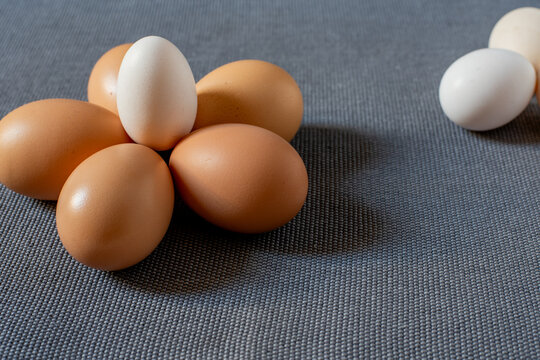 Fresh brown and small chabo chicken eggs on grey background.