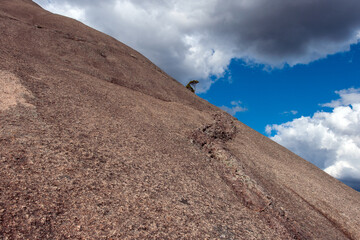 Exploring the National Parks of the Granite Belt (Girraween, Bald Rock): Embark on a journey through ancient landscapes, granite formations, and diverse flora, immersing in the rugged beauty.