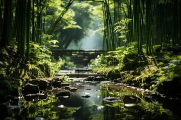 Water flows through forest of bamboo with bridge in background