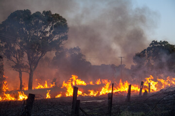 Bush fire in South East Queensland, Australia
