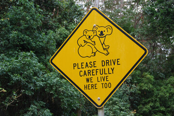 A warning sign along a road in Queensland, Australia, displays an illustration of a koala,...