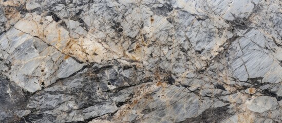 A detailed closeup shot of a limestone rock with a marble texture, showcasing the natural materials intricate patterns and unique characteristics in the landscape