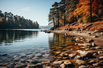 A tranquil lake nestled amidst trees and rocks in a forested landscape