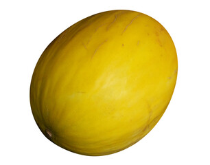 Yellow melon on transparent background