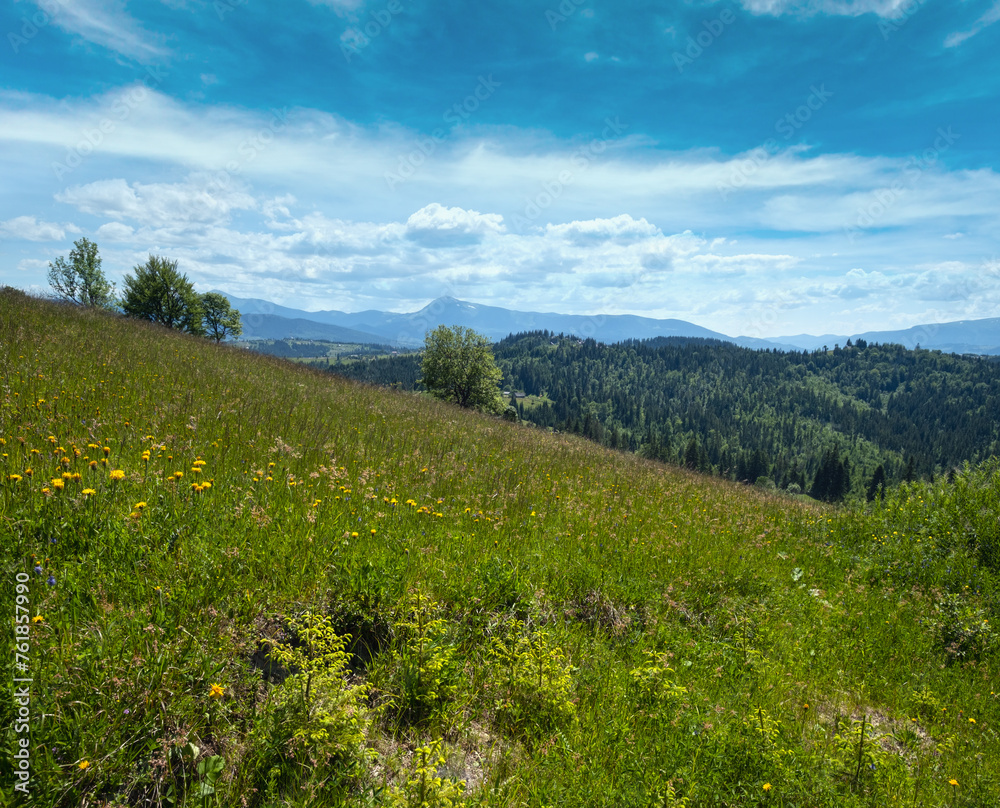 Wall mural Summer Chornohora massiv mountains scenery view from Sevenei hill (near Yablunytsia pass, Carpathians, Ukraine.)