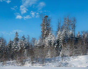 Winter massiv mountains scenery view from Yablunytsia pass, Carpathians, Ukraine.