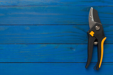 Secateurs on wooden background, top, view