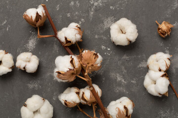Branch of cotton flowers on concrete background, top view