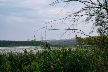 Green Village Near Factory with Tall Emitting Chimneys on a Summer Day